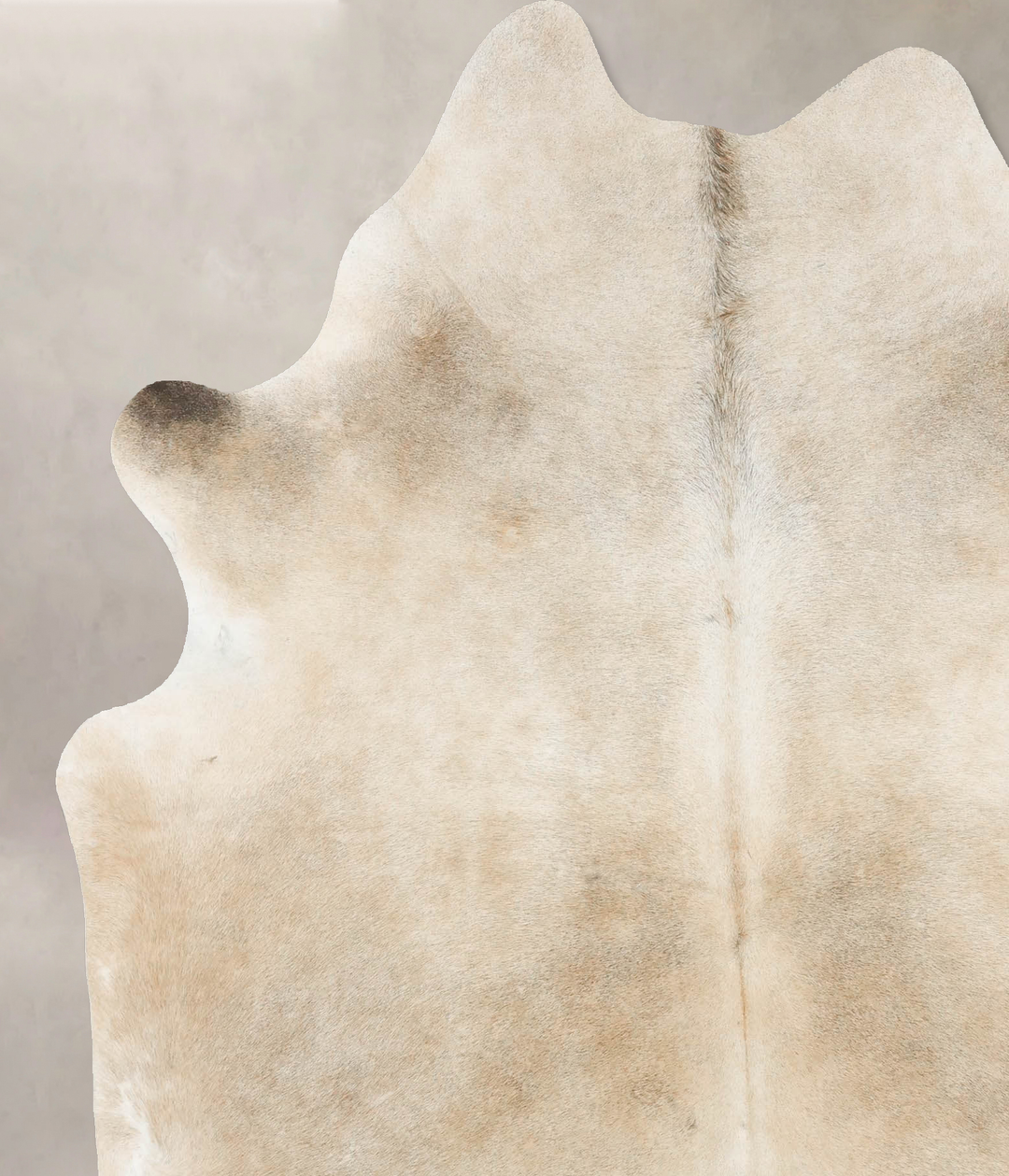 Taupe X-Large Brazilian Cowhide Rug 7'0"H x 6'1"W #B15609 by Hudson Hi