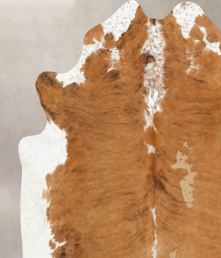 Medium Brindle XX-Large Brazilian Cowhide Rug 7'11"H x 7'5"W #B15618 by Hudson Hides