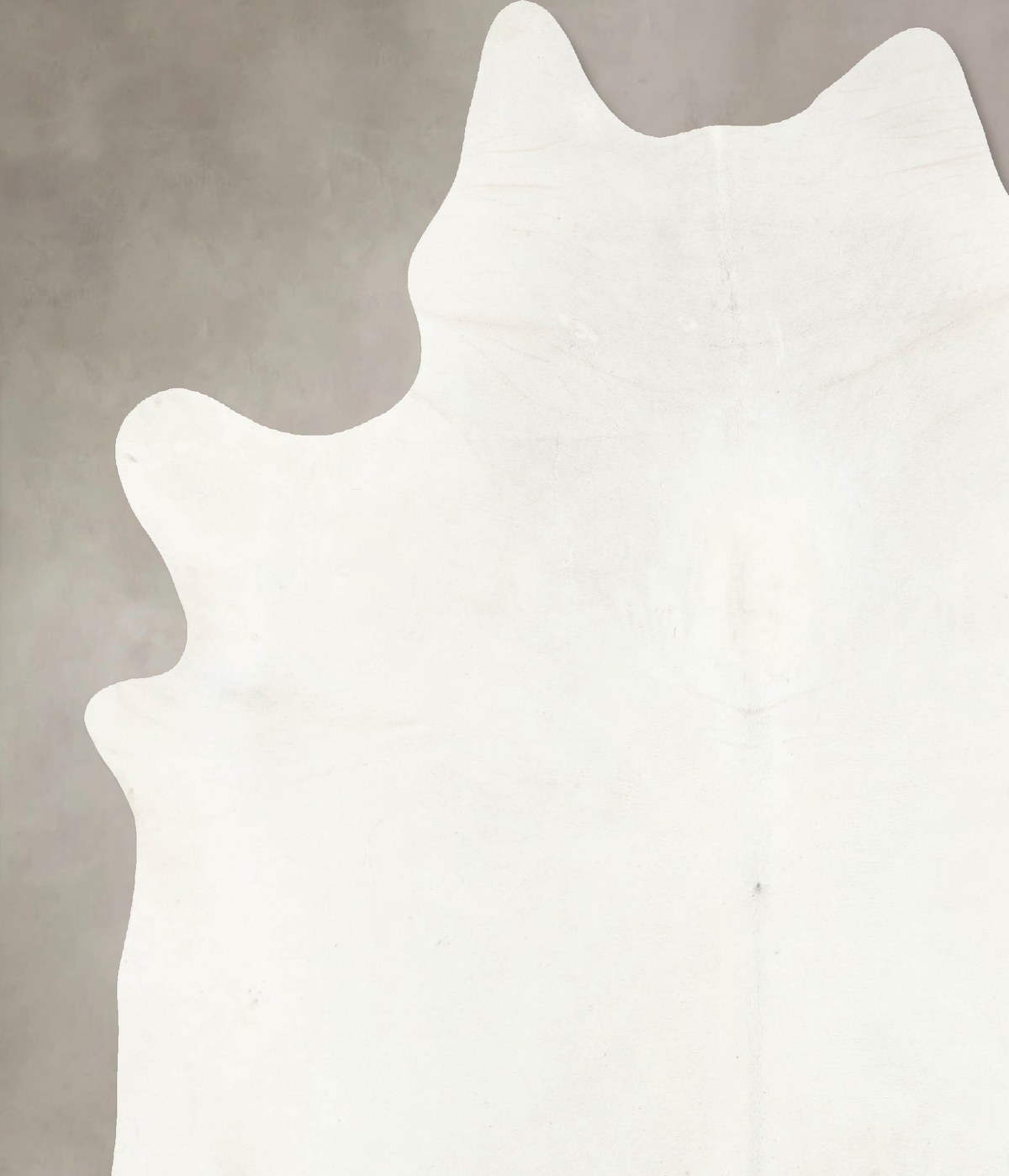 Ivory with Beige XX-Large Brazilian Cowhide Rug 8'8"H x 7'1"W #B15636 by Hudson Hides