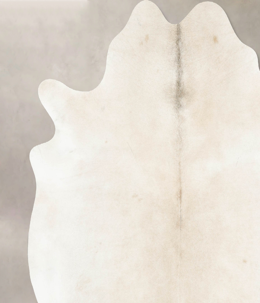 Ivory with Beige XX-Large Brazilian Cowhide Rug 7'8"H x 7'3"W #B15638 