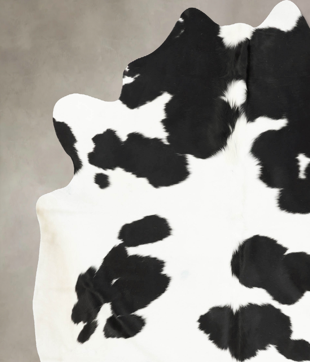 Black and White XX-Large Brazilian Cowhide Rug 8'2"H x 7'6"W #B15663 b