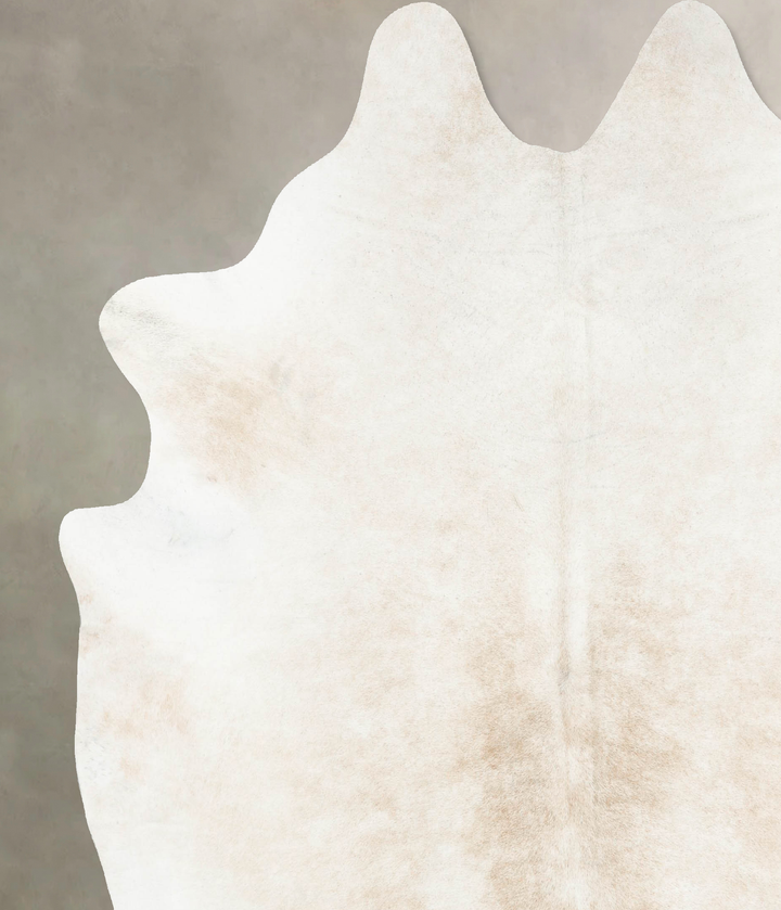 Ivory with Beige XX-Large Brazilian Cowhide Rug 8'0"H x 7'4"W #B15746 by Hudson Hides