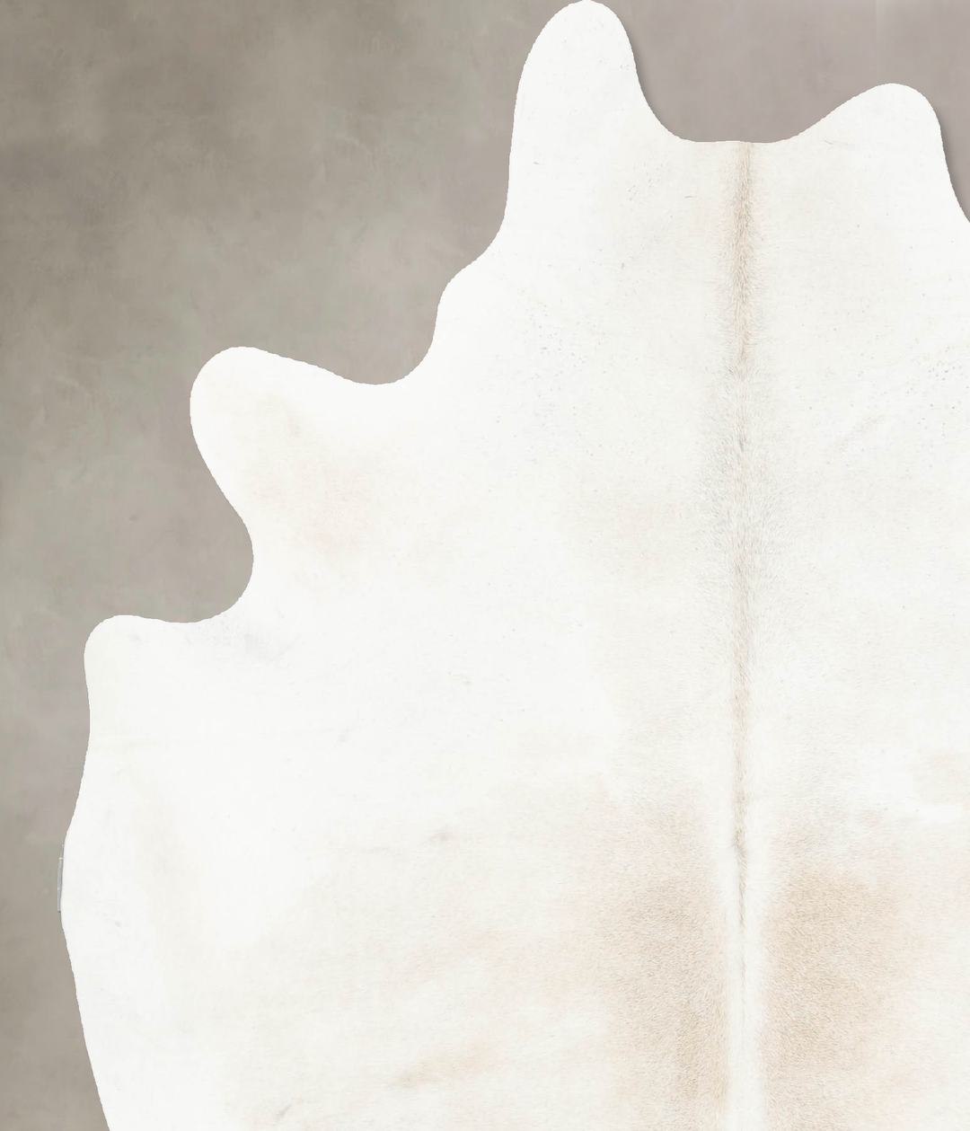 Ivory with Beige X-Large Brazilian Cowhide Rug 7'4"H x 6'0"W #B15758 b