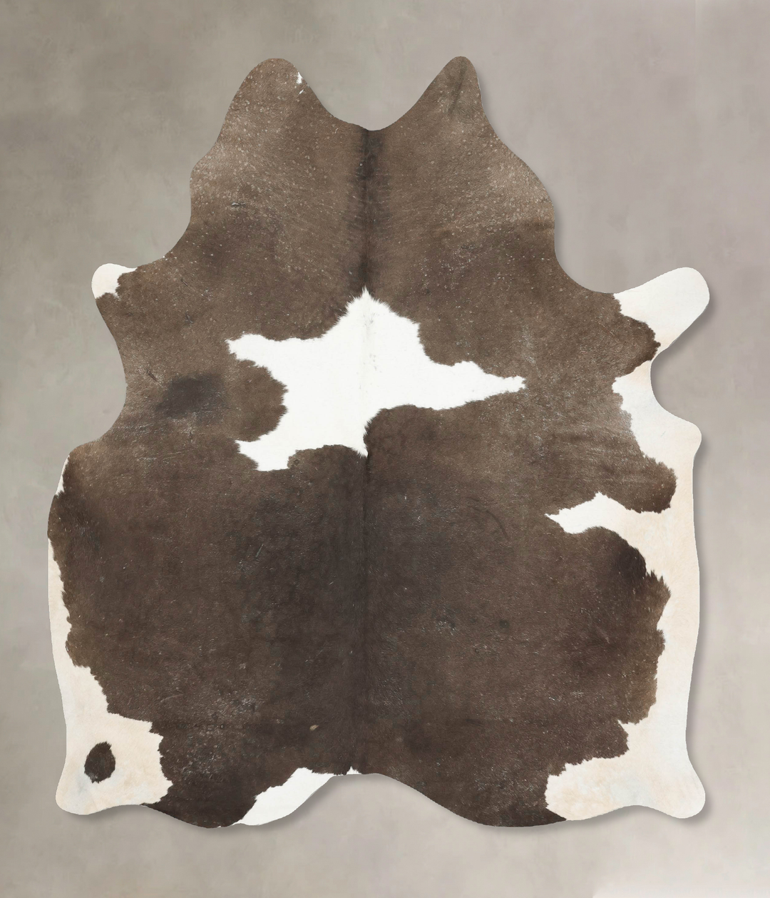 Chocolate and White Large Brazilian Cowhide Rug 7'0"H x 5'8"W #B15765 