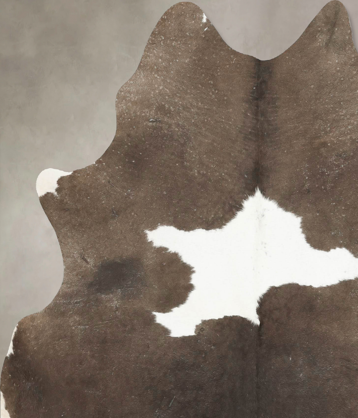 Chocolate and White Large Brazilian Cowhide Rug 7'0"H x 5'8"W #B15765 by Hudson Hides