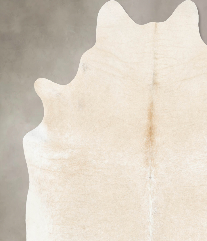 Palomino XX-Large Brazilian Cowhide Rug 8'0"H x 7'0"W #B15773 by Hudson Hides