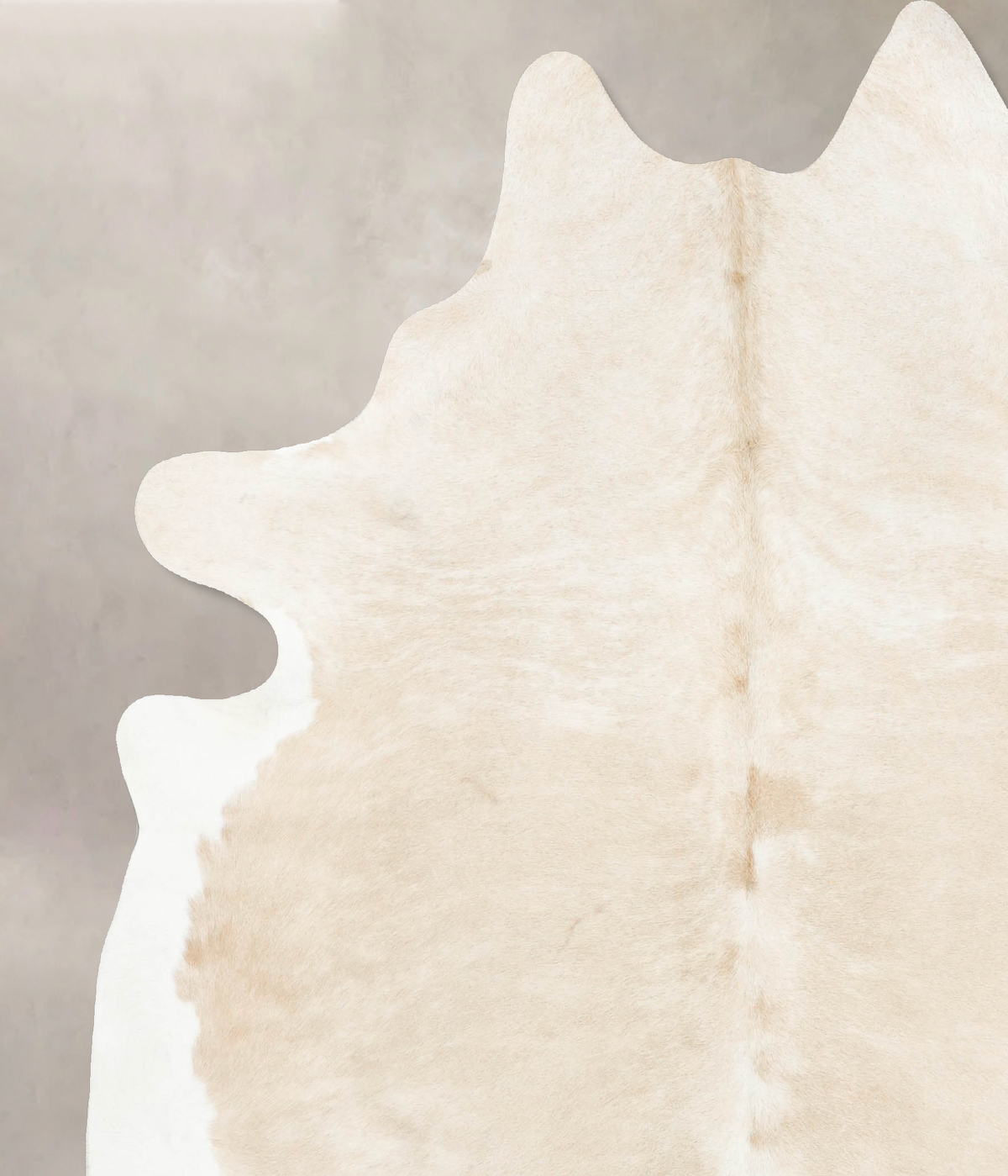Beige and White XX-Large Brazilian Cowhide Rug 8'3"H x 6'11"W #B15789 by Hudson Hides