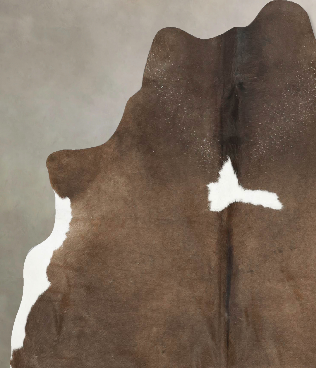 Chocolate and White Large Brazilian Cowhide Rug 6'4"H x 5'9"W #B15800 