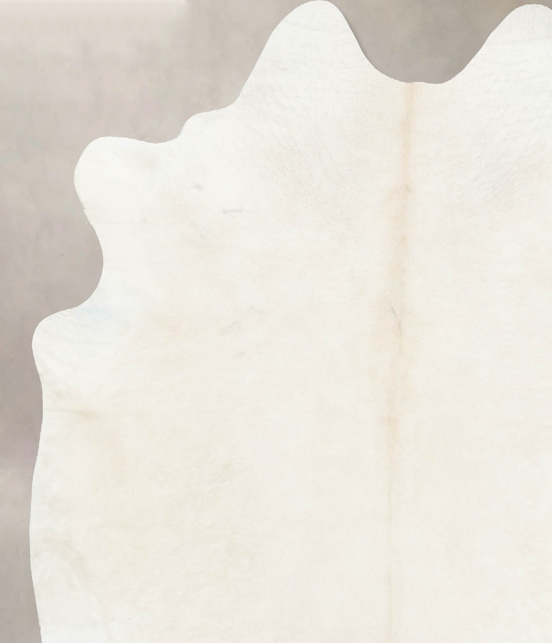 Ivory with Beige XX-Large Brazilian Cowhide Rug 8'4"H x 6'9"W #B15802 
