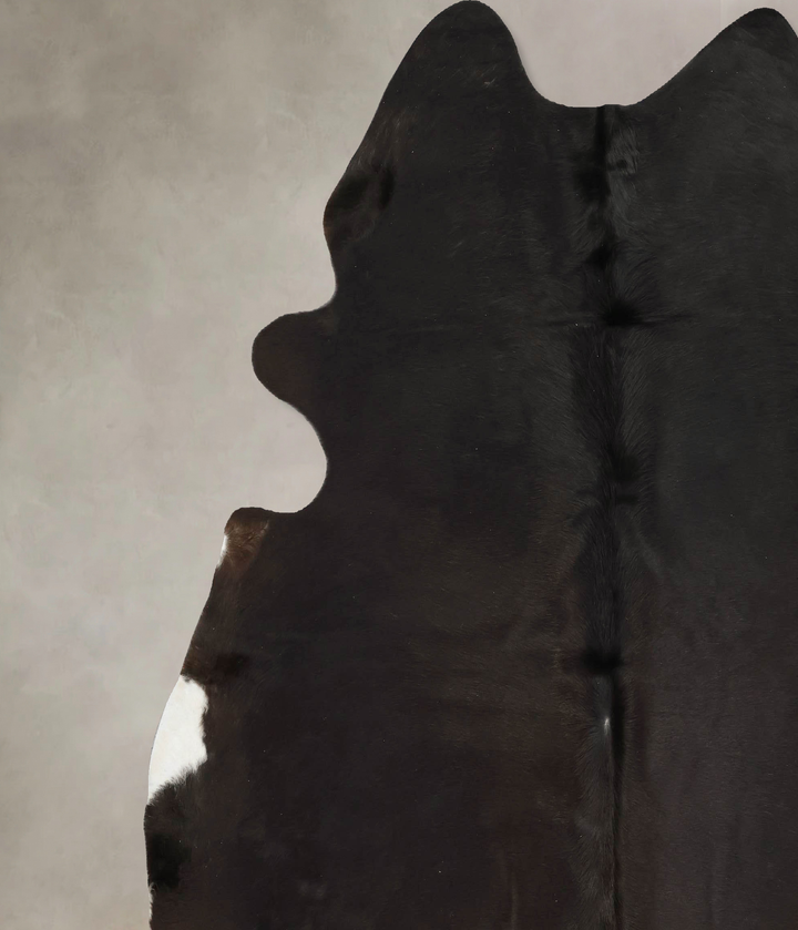 Chocolate XX-Large Brazilian Cowhide Rug 8'2"H x 7'9"W #B15803 by Hudson Hides