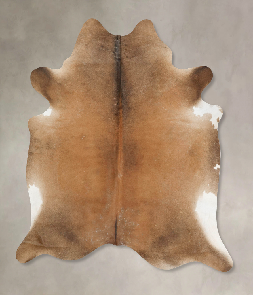Warm Caramel XX-Large Brazilian Cowhide Rug 8'1"H x 6'9"W #B15804 by Hudson Hides