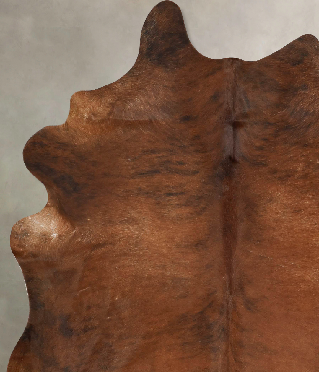 Medium Brindle XX-Large Brazilian Cowhide Rug 8'7"H x 7'0"W #B15808 by