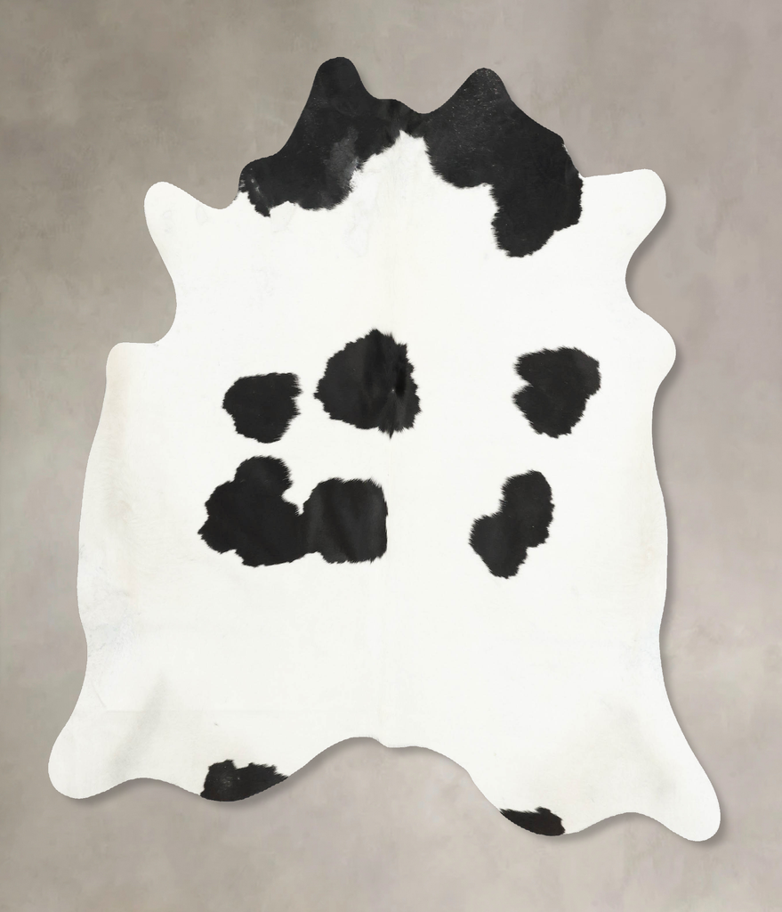 Black and White Large Brazilian Cowhide Rug 6'0"H x 6'1"W #B15816 by Hudson Hides