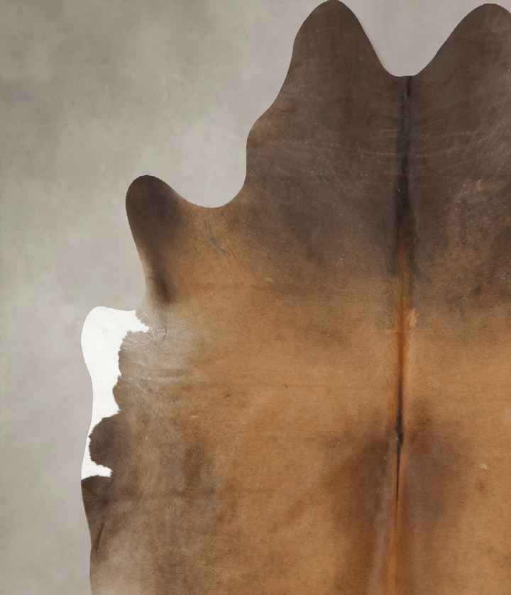 Chocolate XX-Large Brazilian Cowhide Rug 7'10"H x 7'6"W #B15852 by Hudson Hides