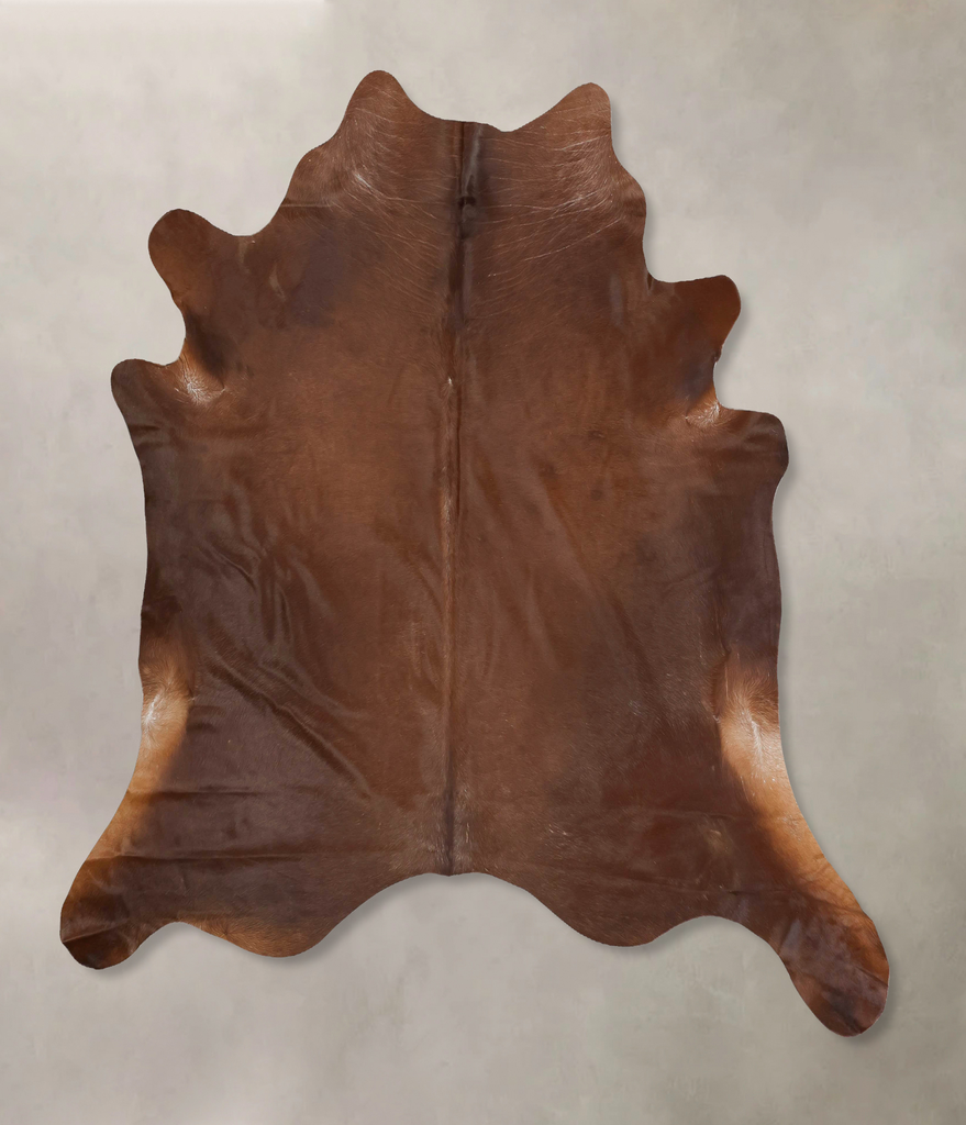 Solid Brown XX-Large Brazilian Cowhide Rug 7'7"H x 7'5"W #B15858 by Hudson Hides