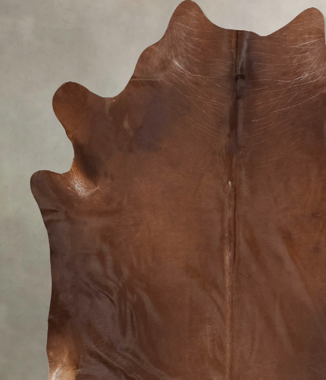 Solid Brown XX-Large Brazilian Cowhide Rug 7'7"H x 7'5"W #B15858 by Hu