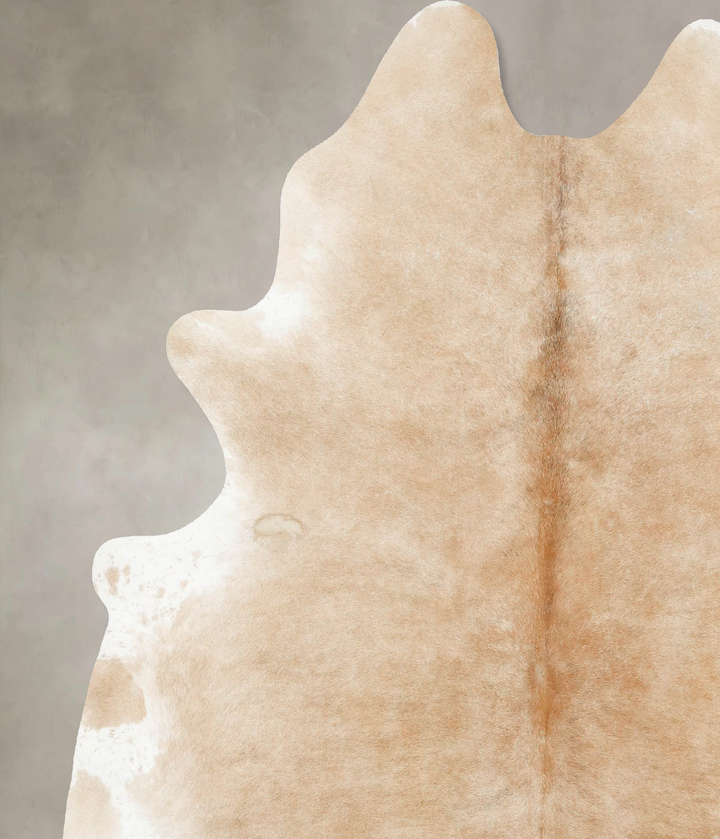 Palomino X-Large Brazilian Cowhide Rug 7'7"H x 6'5"W #B15869 by Hudson Hides