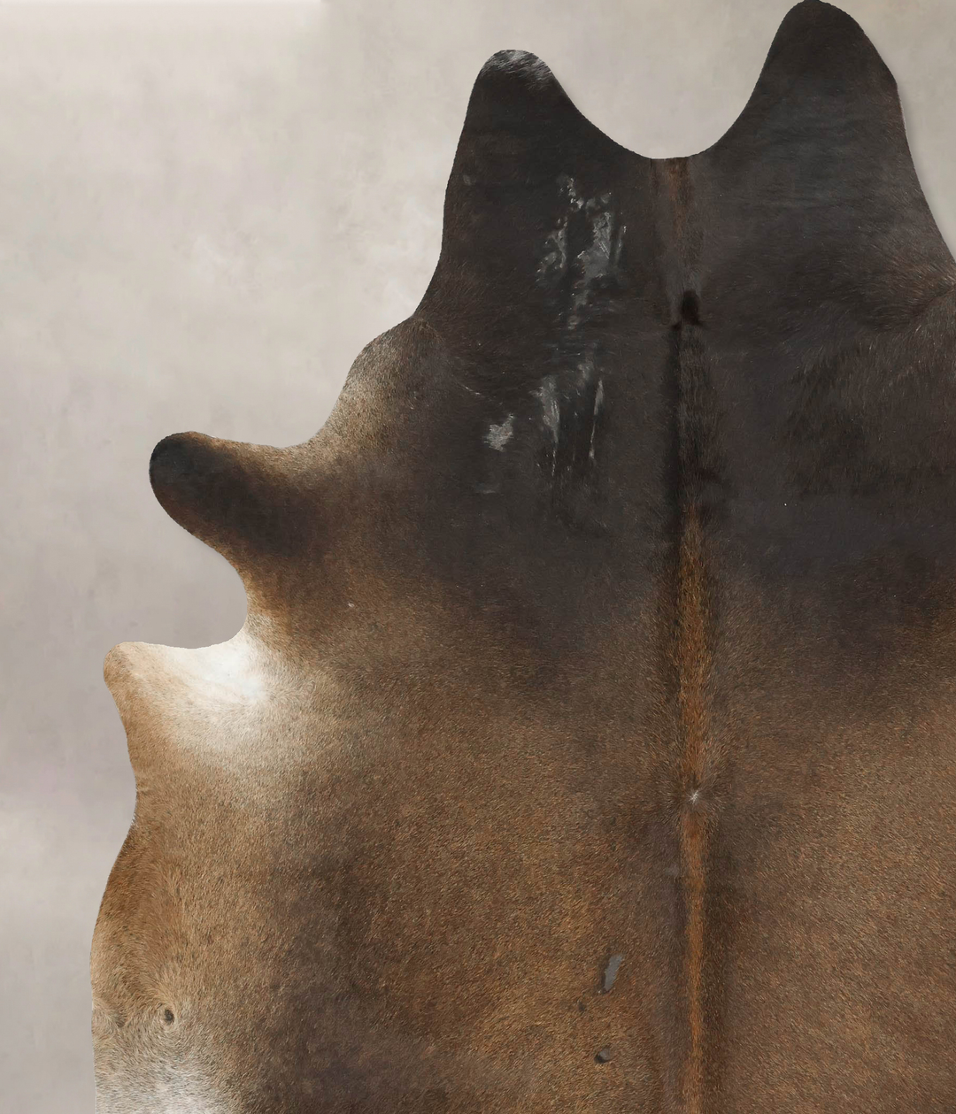 Chocolate XX-Large Brazilian Cowhide Rug 8'8"H x 7'2"W #B15870 by Huds