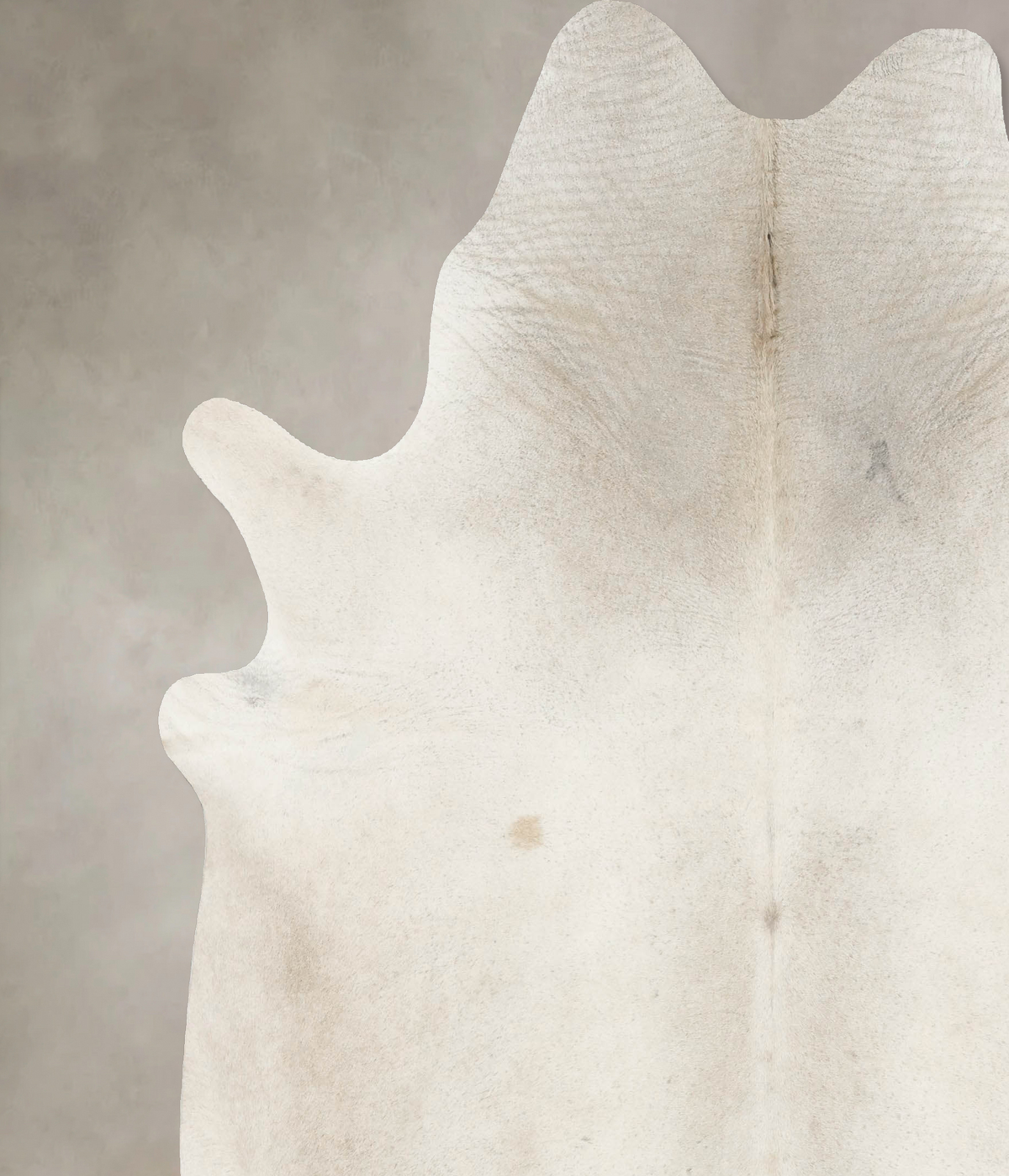 Ivory with Beige XX-Large Brazilian Cowhide Rug 7'11"H x 7'3"W #B15873 by Hudson Hides