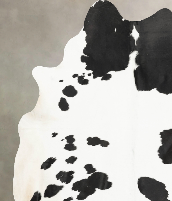 Black and White XX-Large Brazilian Cowhide Rug 8'4"H x 6'11"W #B15882 by Hudson Hides
