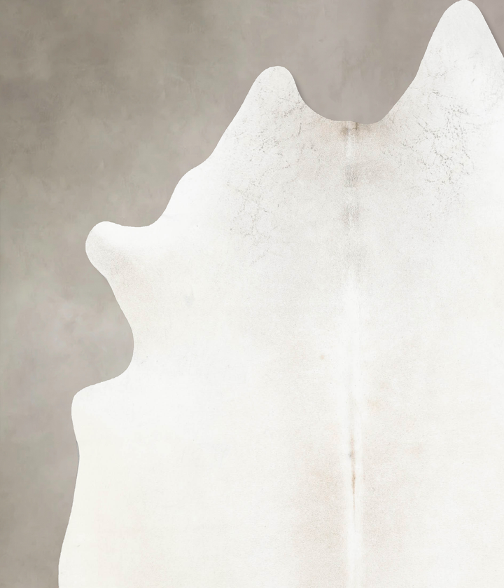 Ivory with Beige XX-Large Brazilian Cowhide Rug 8'2"H x 7'5"W #B15890 by Hudson Hides