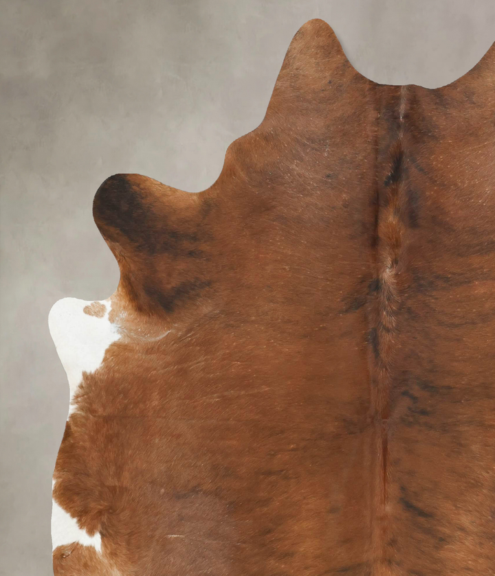 Medium Brindle XX-Large Brazilian Cowhide Rug 7'9"H x 6'8"W #B15933 by Hudson Hides