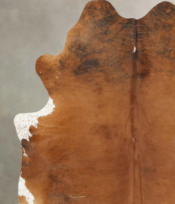 Medium Brindle X-Large Brazilian Cowhide Rug 7'6"H x 6'8"W #B15946 by Hudson Hides