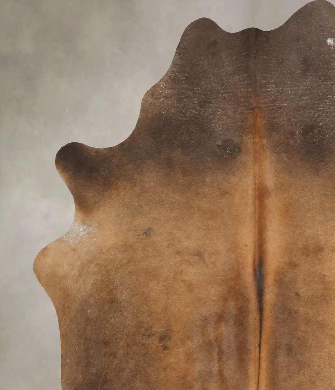 Chocolate X-Large Brazilian Cowhide Rug 6'11"H x 6'1"W #B15947 by Huds