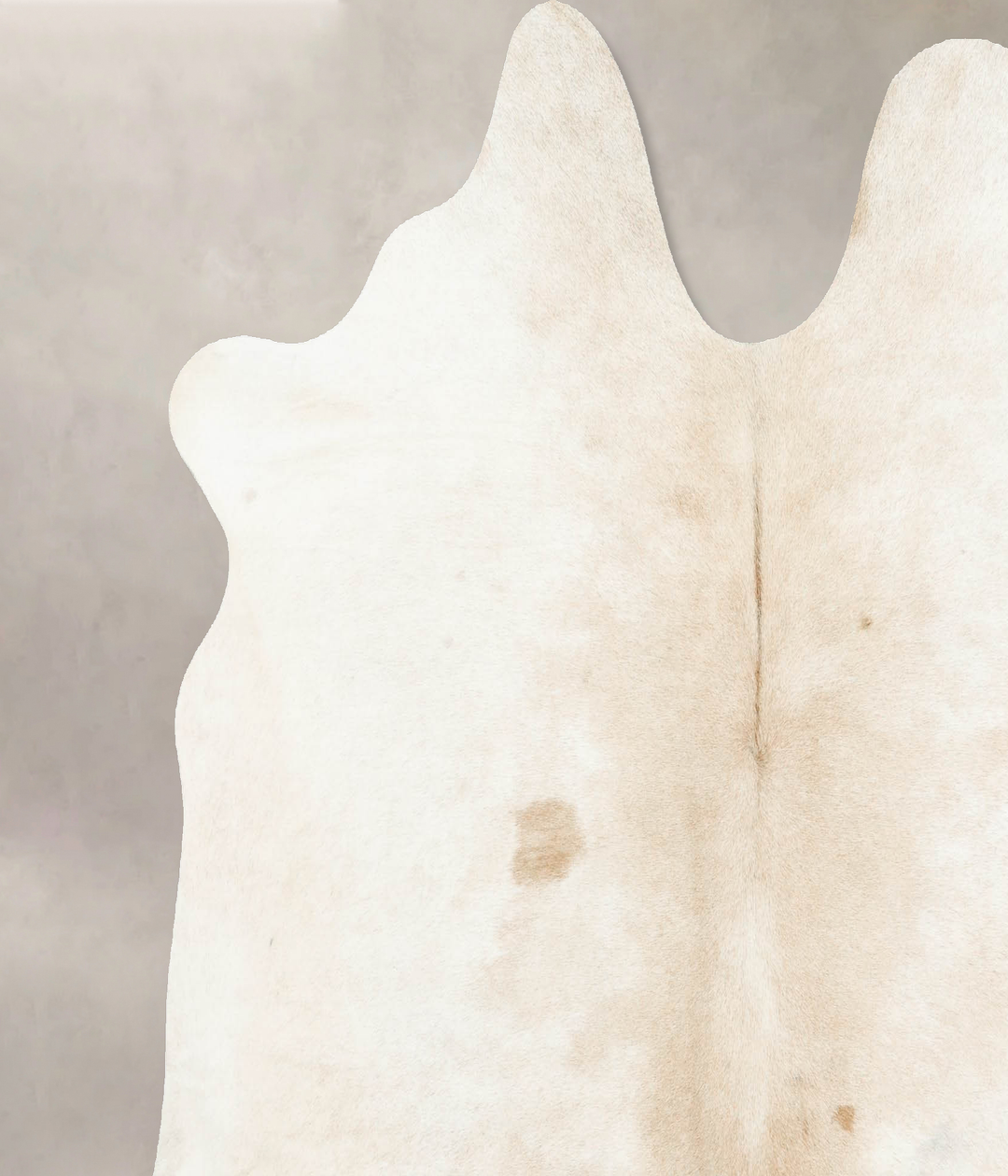 Ivory with Beige X-Large Brazilian Cowhide Rug 6'2"H x 6'7"W #B15949 b