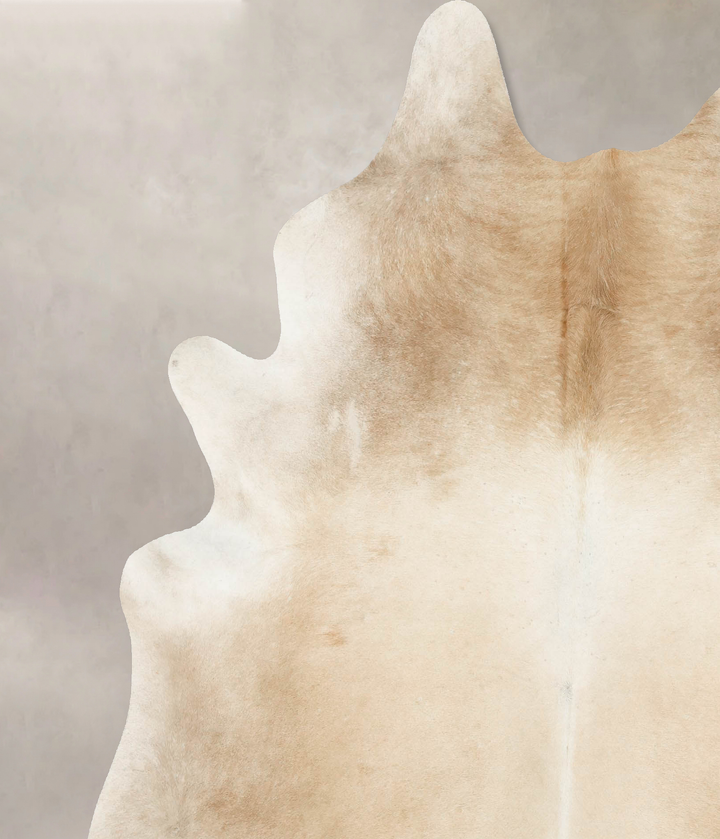 Palomino X-Large Brazilian Cowhide Rug 7'2"H x 6'5"W #B15954 by Hudson Hides