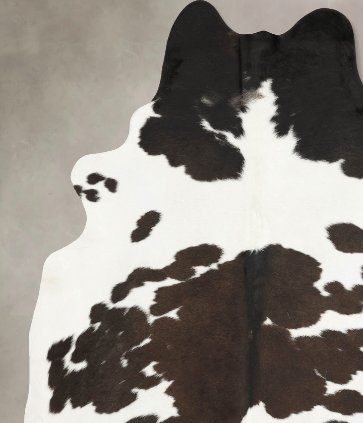 Chocolate and White XX-Large Brazilian Cowhide Rug 8'8"H x 7'0"W #B15965 by Hudson Hides