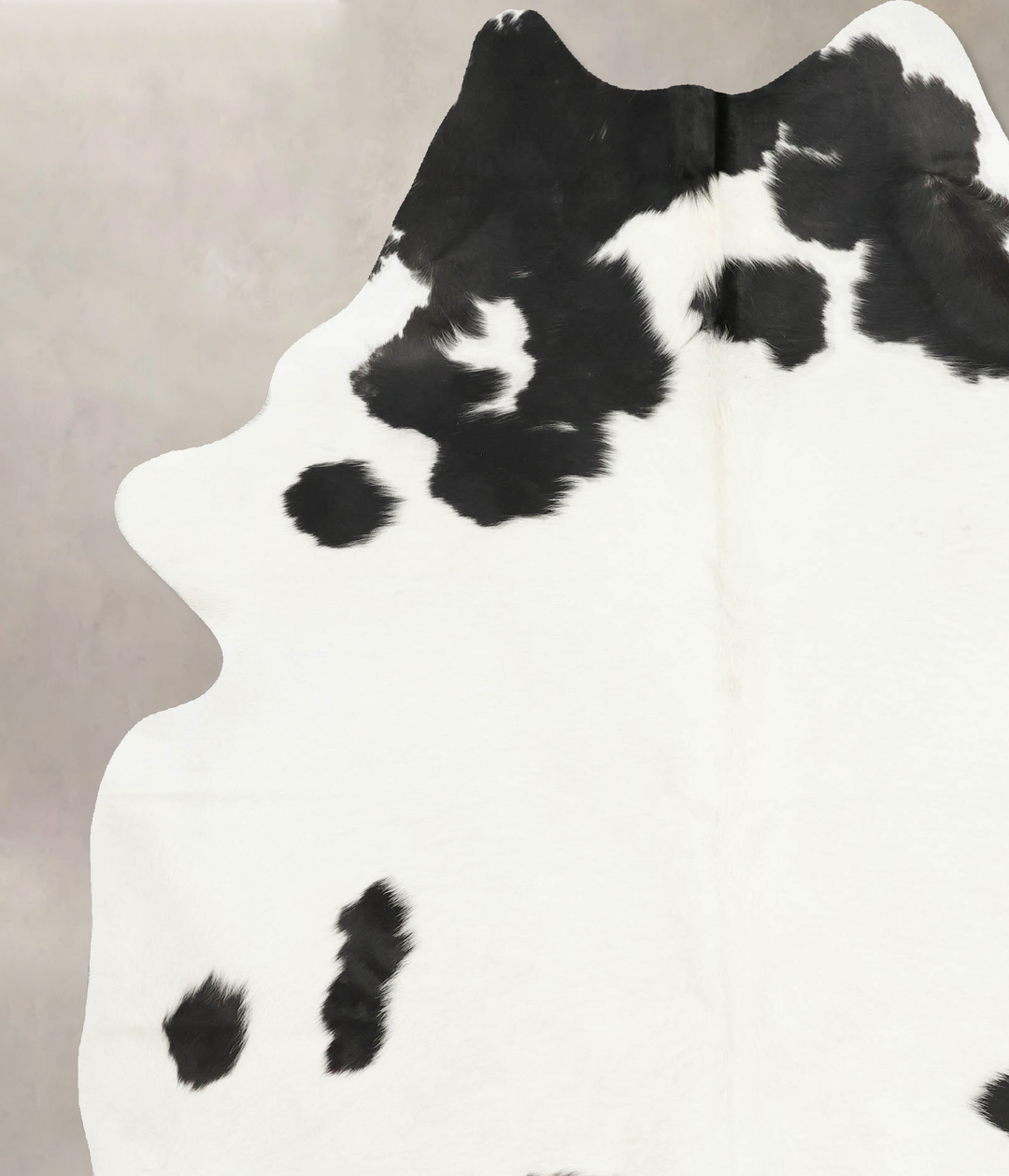Black and White XX-Large Brazilian Cowhide Rug 8'1"H x 6'4"W #B15983 b