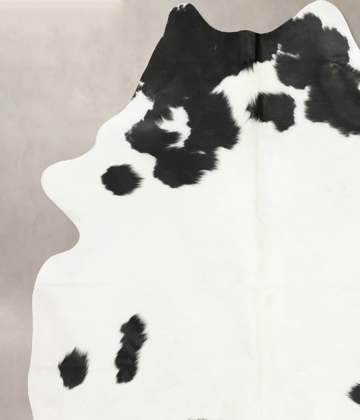 Black and White XX-Large Brazilian Cowhide Rug 8'1"H x 6'4"W #B15983 by Hudson Hides