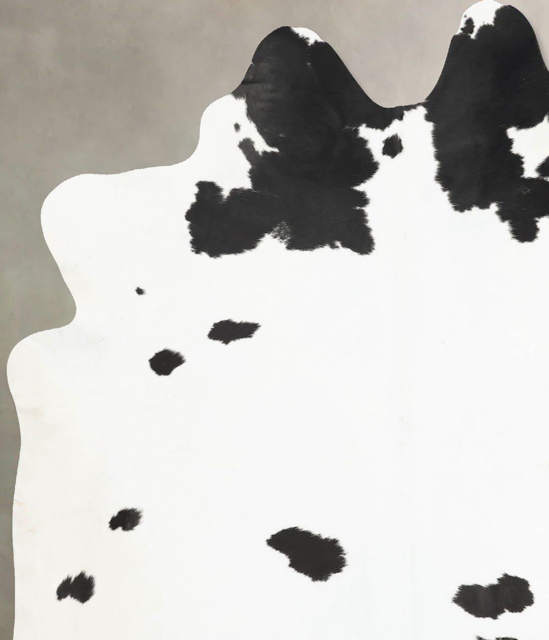 Black and White XX-Large Brazilian Cowhide Rug 8'11"H x 6'10"W #B16005