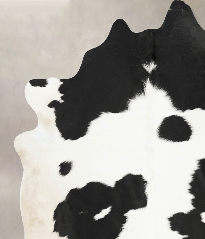 Black and White XX-Large Brazilian Cowhide Rug 7'8"H x 6'10"W #B16006 by Hudson Hides