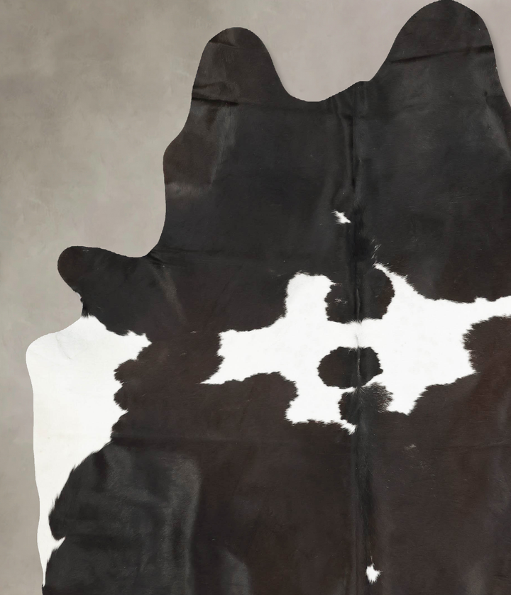 Chocolate and White XX-Large Brazilian Cowhide Rug 8'8"H x 7'2"W #B16009 by Hudson Hides