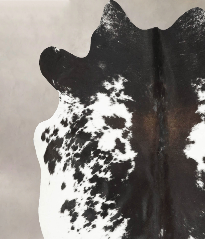 Chocolate and White X-Large Brazilian Cowhide Rug 6'4"H x 6'7"W #B16026 by Hudson Hides