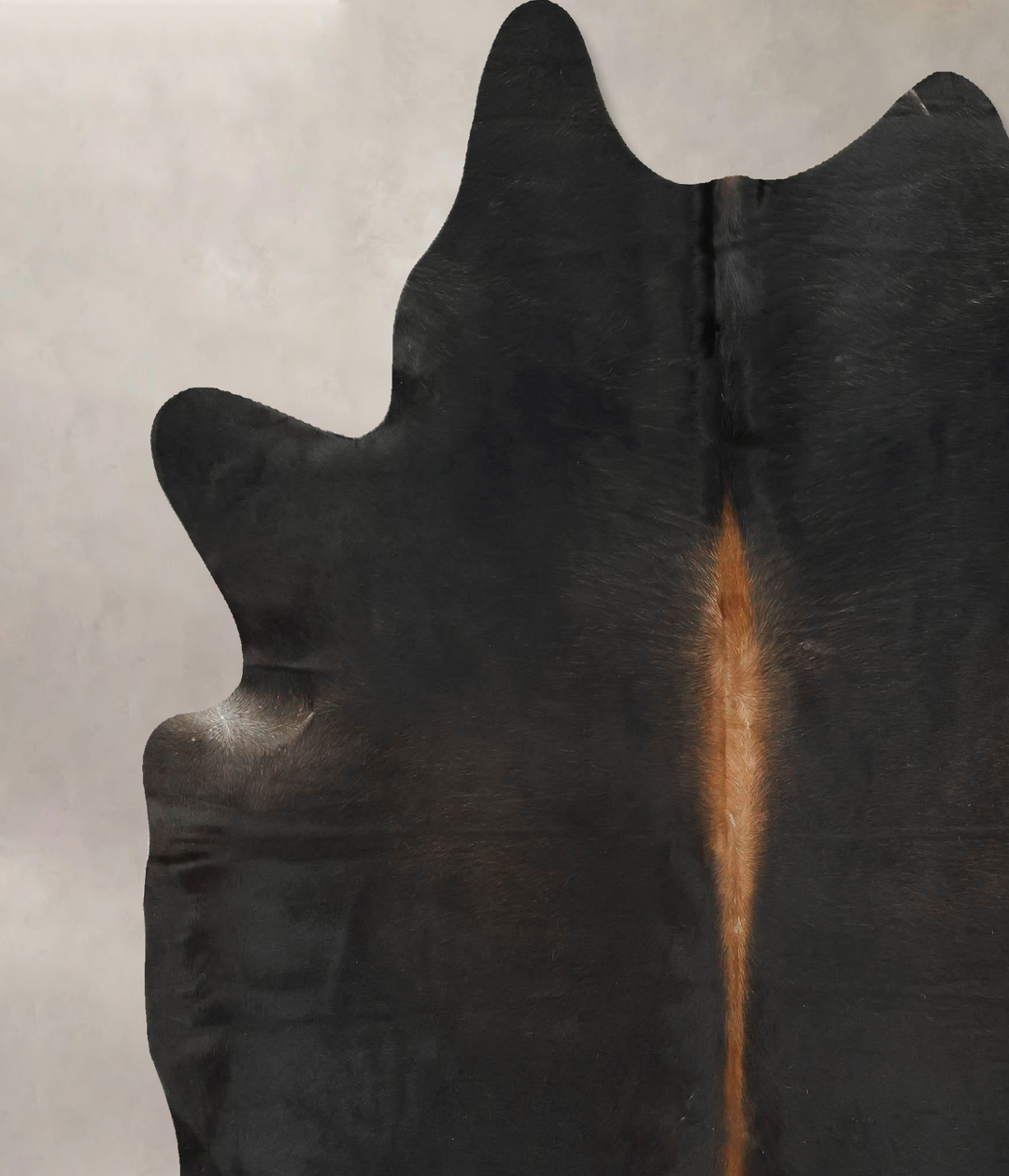 Chocolate XX-Large Brazilian Cowhide Rug 7'7"H x 6'10"W #B16032 by Hud