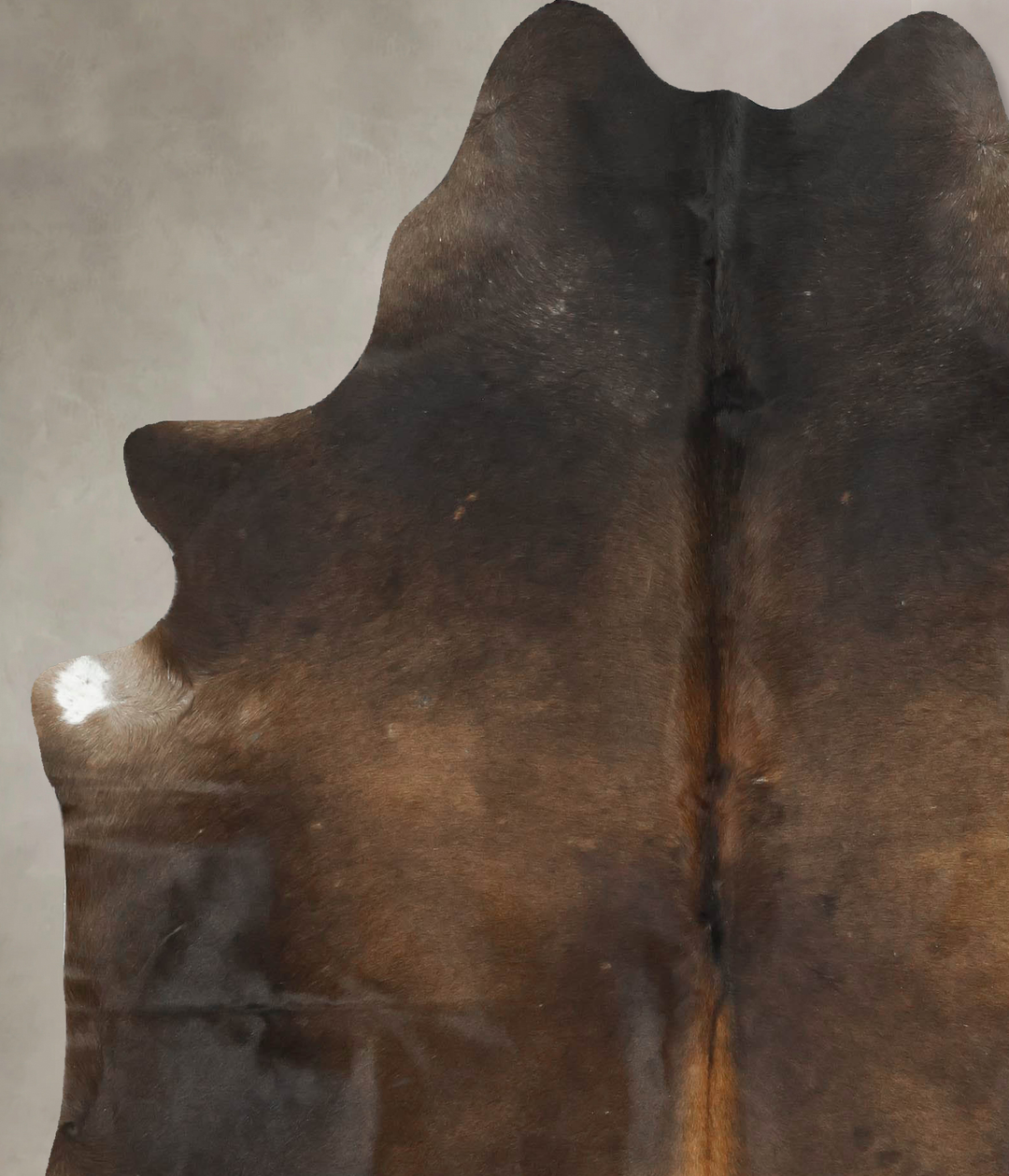 Chocolate X-Large Brazilian Cowhide Rug 7'4"H x 6'2"W #B16036 by Hudso