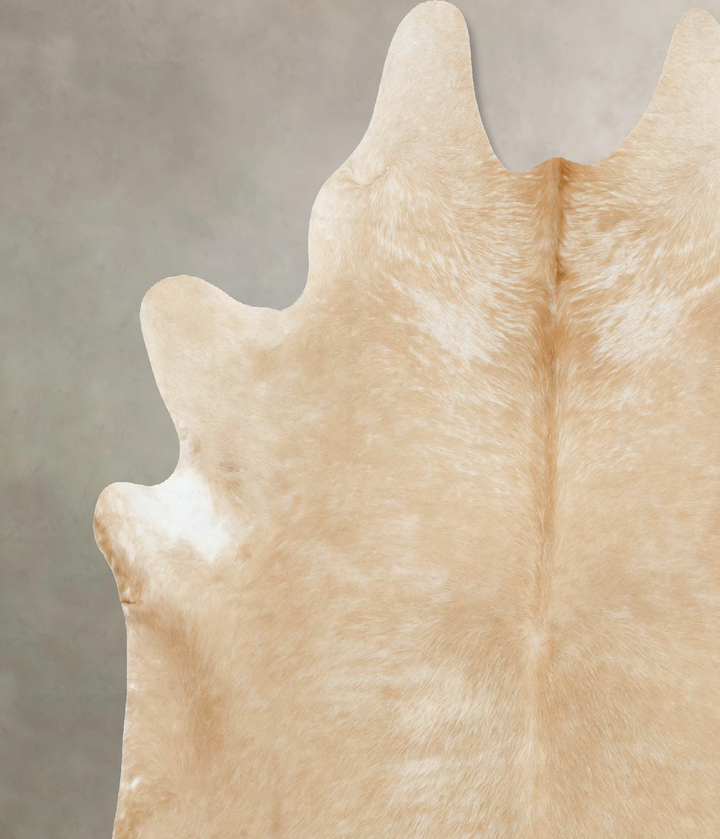 Palomino XX-Large Brazilian Cowhide Rug 7'8"H x 7'6"W #B16039 by Hudson Hides