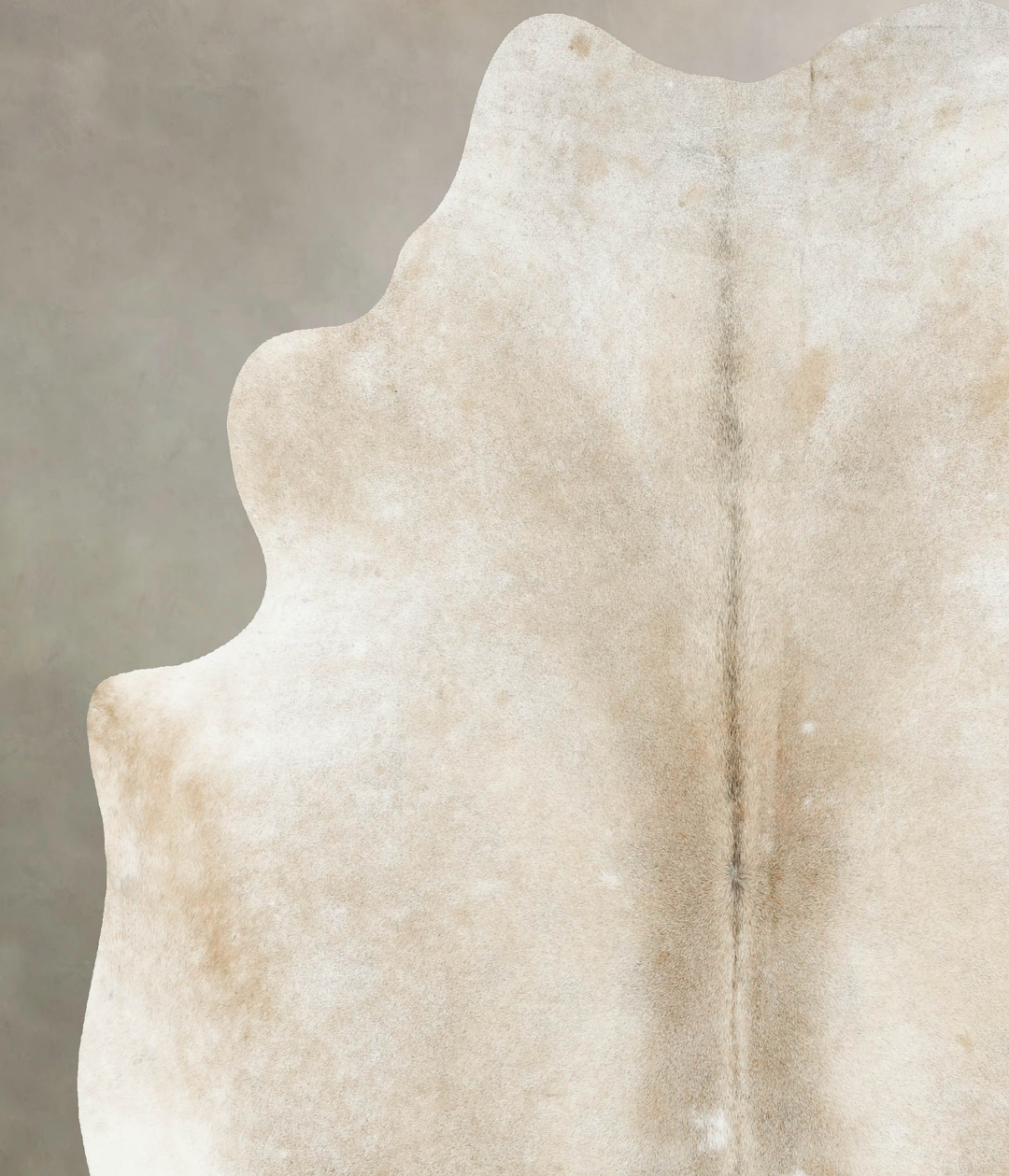 Ivory with Beige XX-Large Brazilian Cowhide Rug 8'1"H x 7'6"W #B16043 