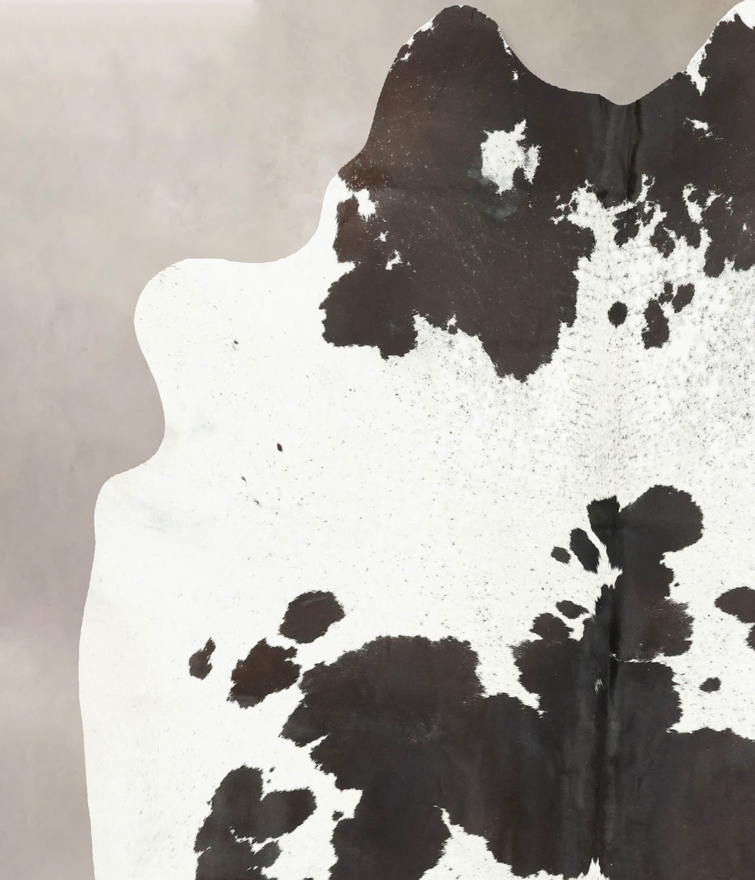 Chocolate and White X-Large Brazilian Cowhide Rug 7'7"H x 6'7"W #B1604