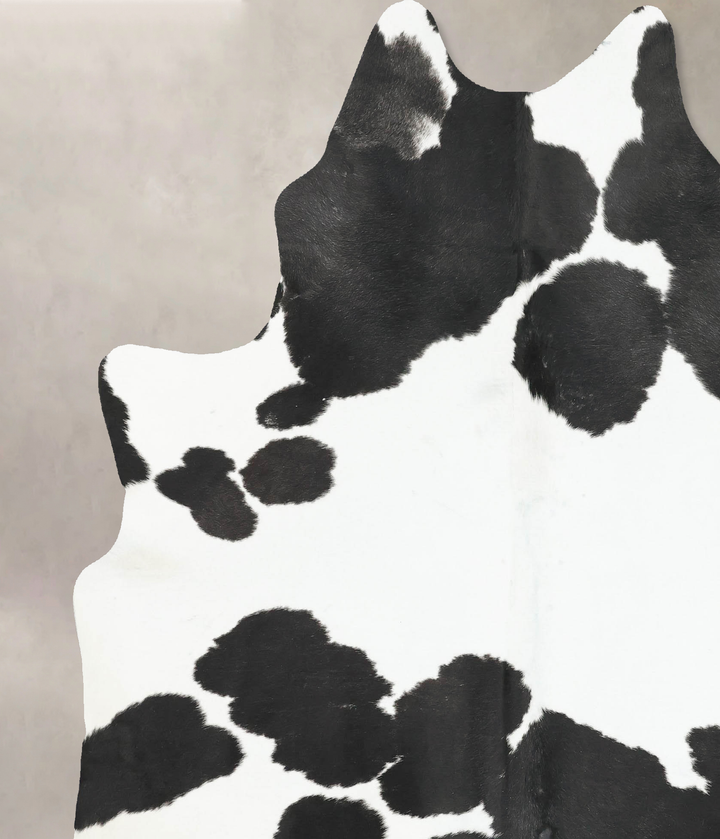 Black and White XX-Large Brazilian Cowhide Rug 7'10"H x 6'7"W #B16053 by Hudson Hides
