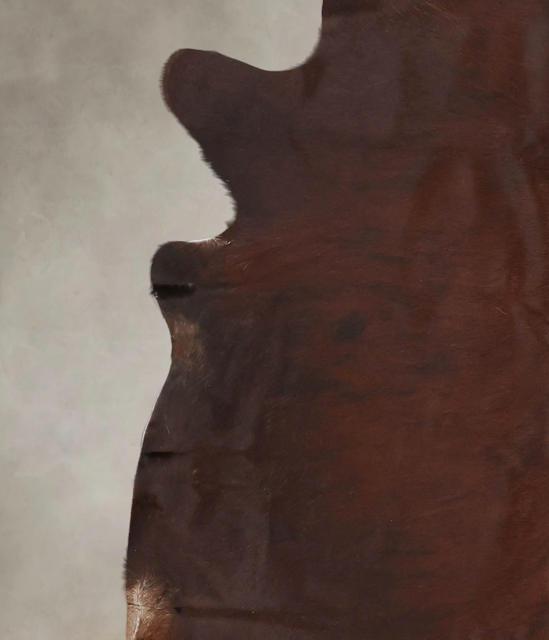 Chocolate Cowhide Rug #B1606