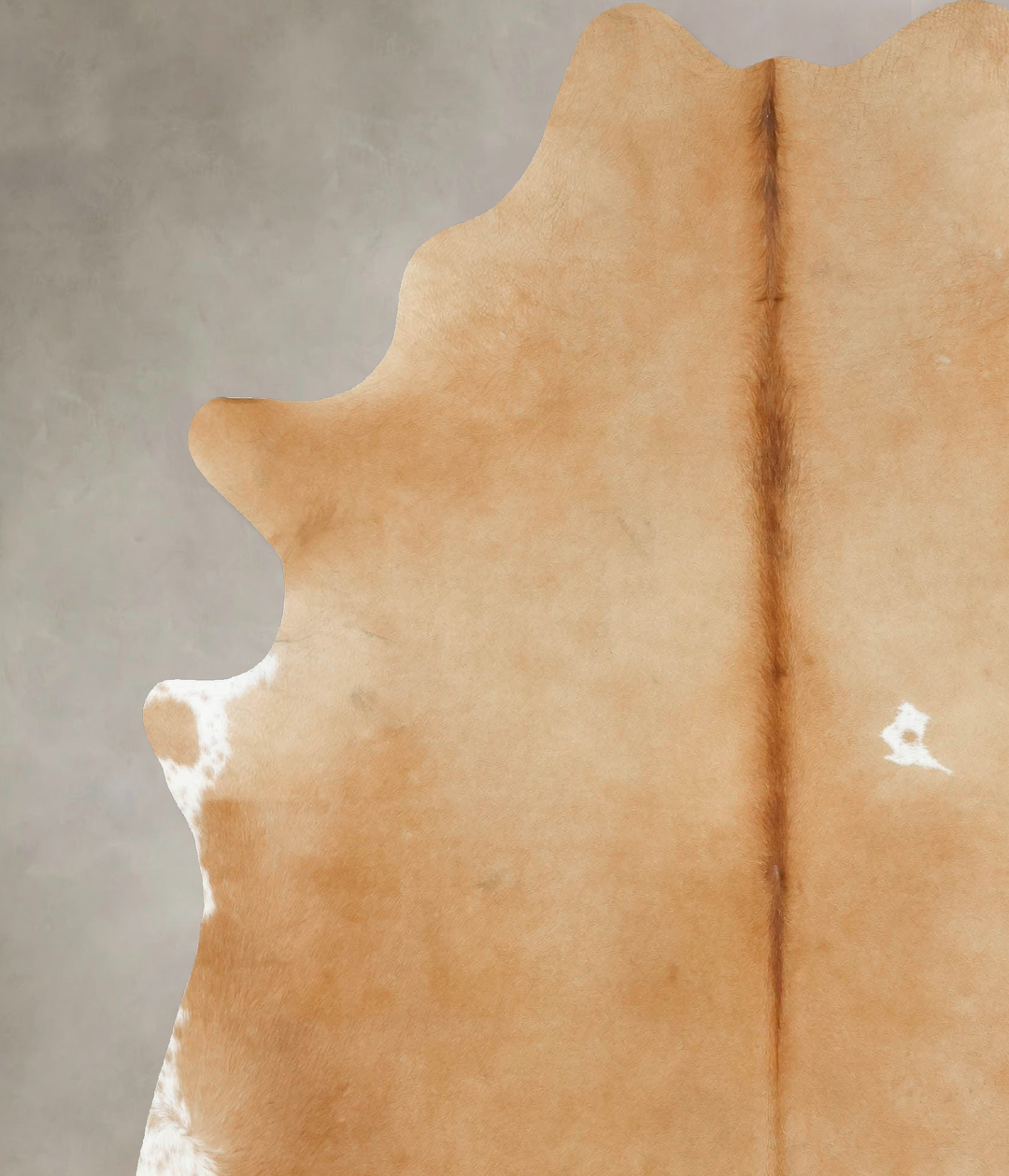 Beige XX-Large Brazilian Cowhide Rug 7'10"H x 6'6"W #B16067 by Hudson 