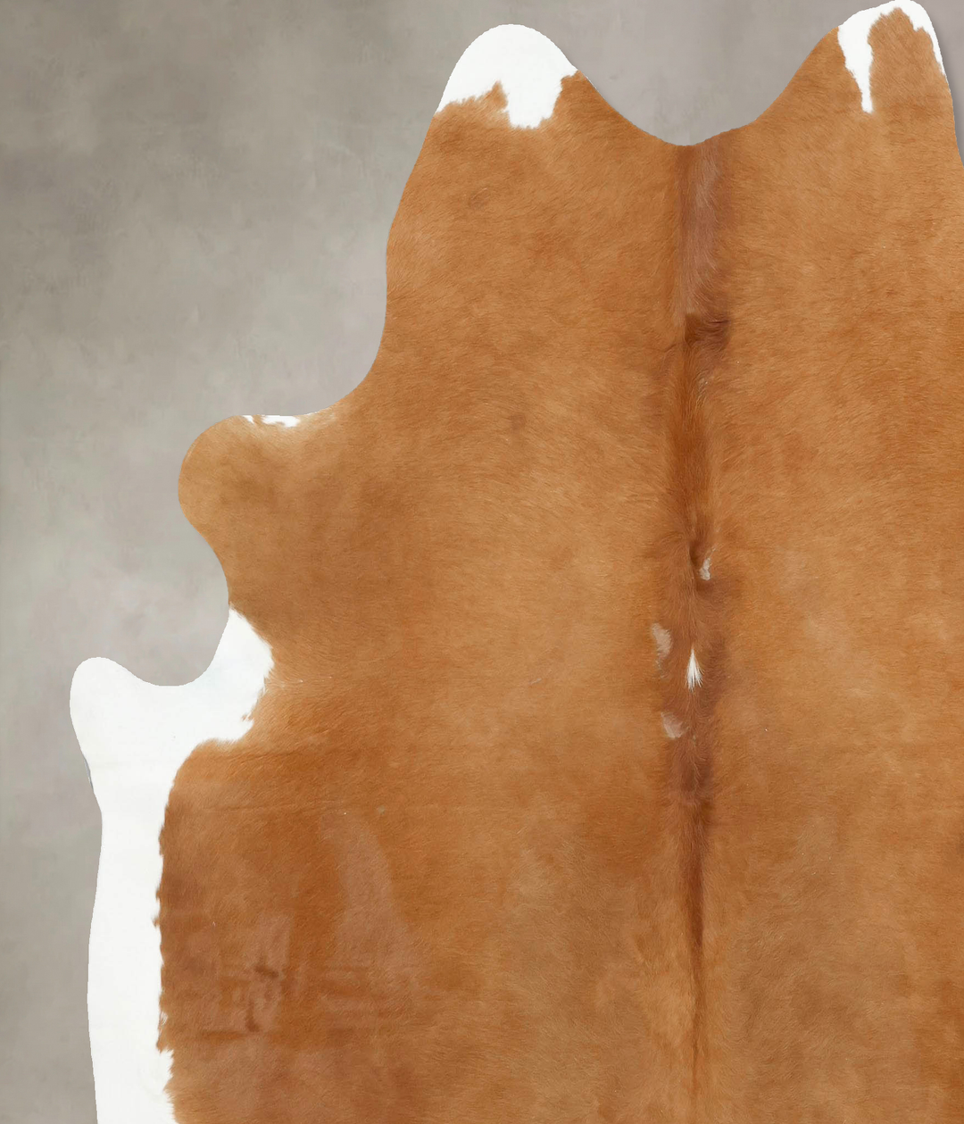Beige XX-Large Brazilian Cowhide Rug 7'6"H x 6'10"W #B16071 by Hudson 