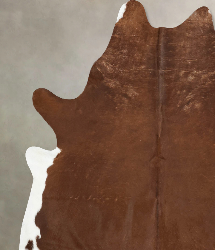 Brown and White Regular XX-Large Brazilian Cowhide Rug 8'3"H x 7'3"W #B16075 by Hudson Hides