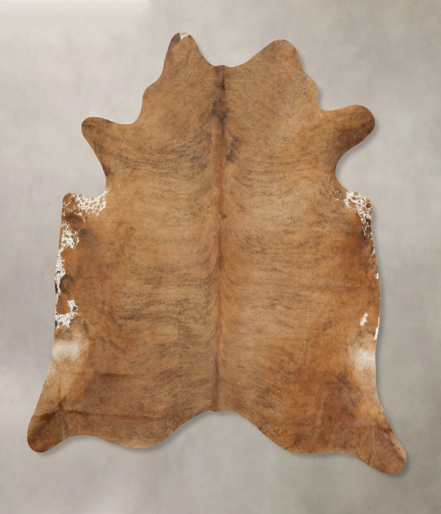Medium Brindle XX-Large Brazilian Cowhide Rug 8'0"H x 7'4"W #B16077 by Hudson Hides