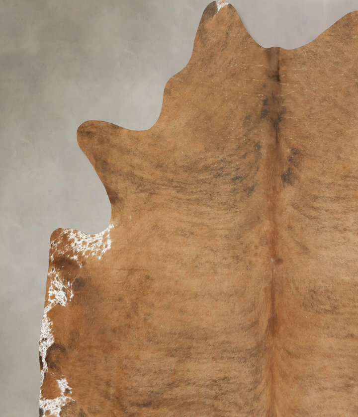 Medium Brindle XX-Large Brazilian Cowhide Rug 8'0"H x 7'4"W #B16077 by Hudson Hides