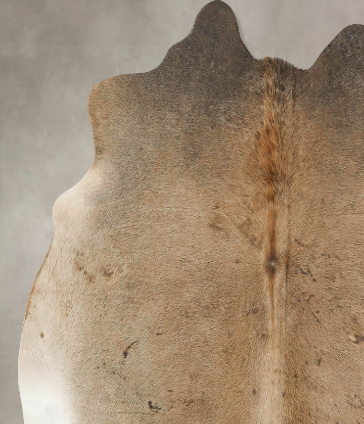 Grey with Beige Large Brazilian Cowhide Rug 6'3"H x 6'2"W #B16084 by Hudson Hides